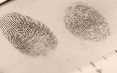 Lei sobre o exercício da profissão de detetive particular