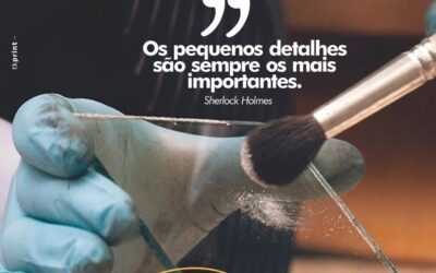 Detetive profissional