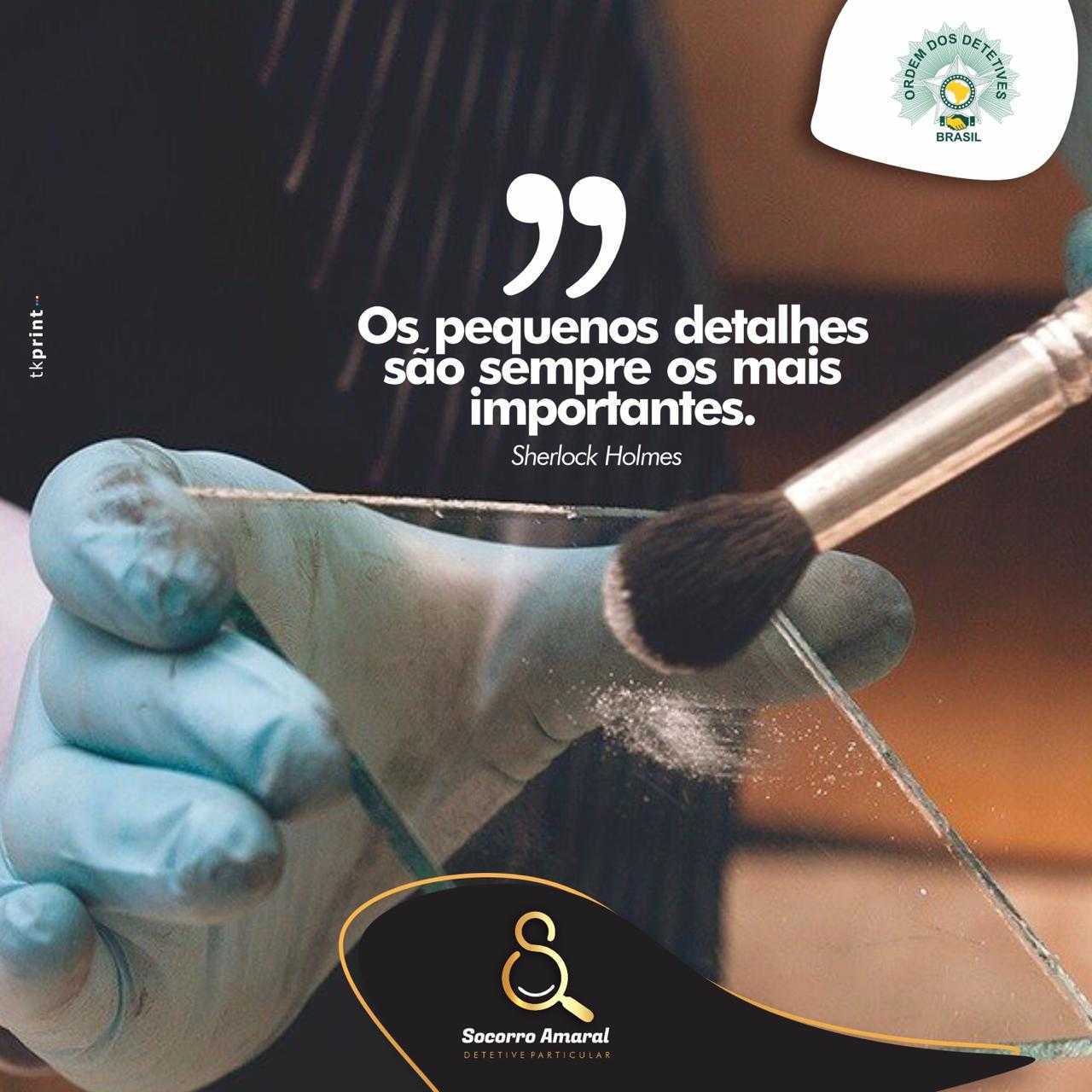 Detetive profissional