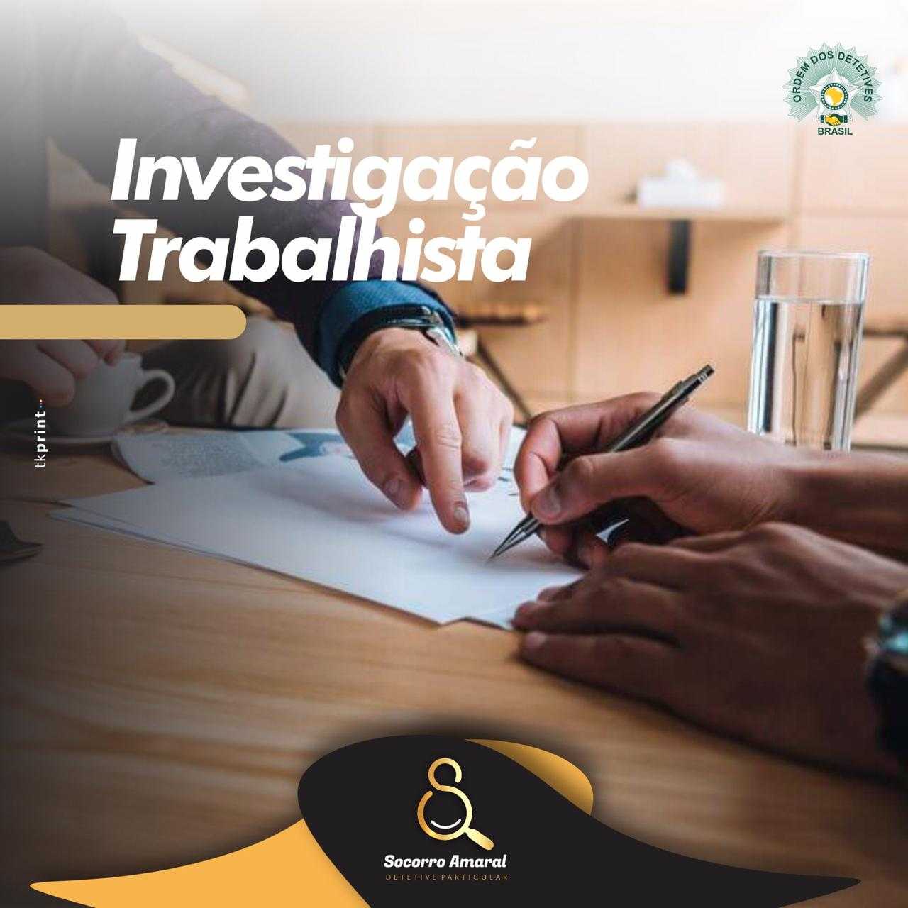 Investigação profissional